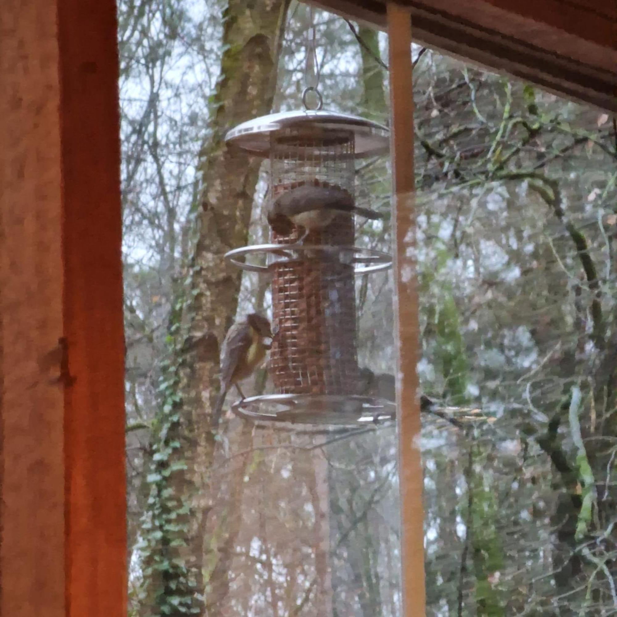 Vakantiechalet Voor 4 Plus 2 Met Sauna Lanaken Exteriér fotografie